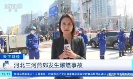 记者爆料男友视频大全最新,揭秘娱乐圈背后的惊人真相